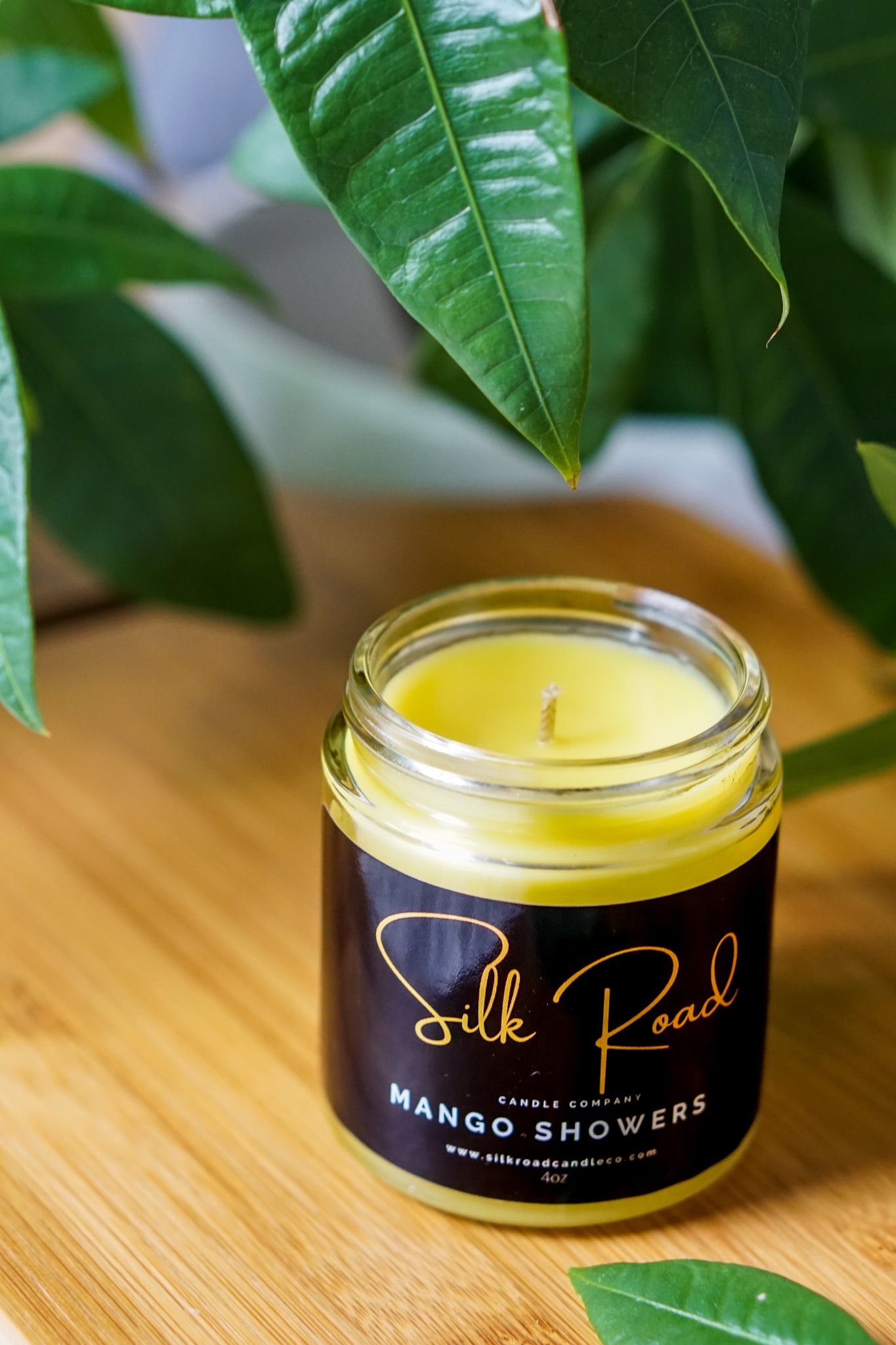 MANGO SHOWERS Scented Candle