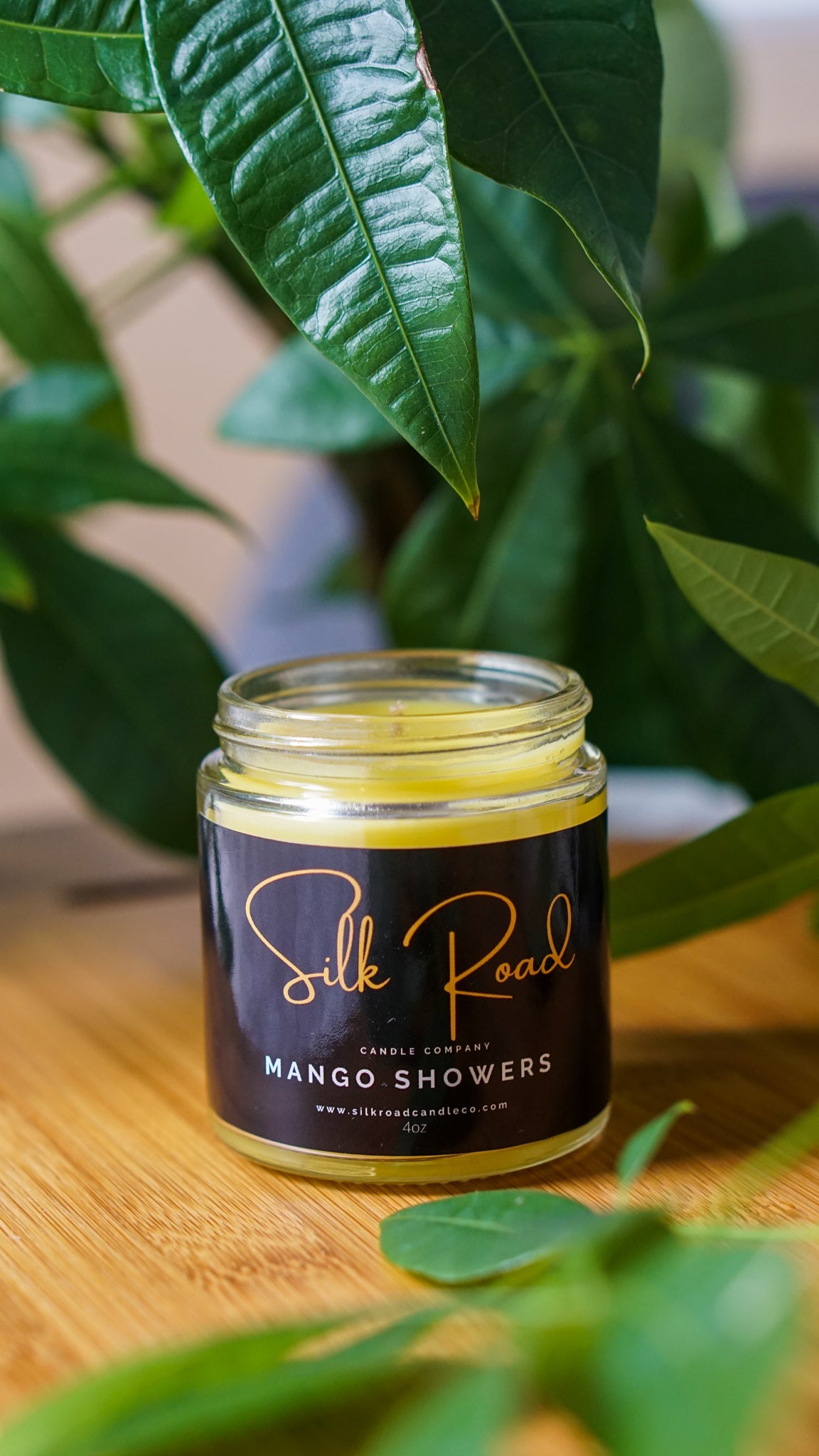 MANGO SHOWERS Scented Candle