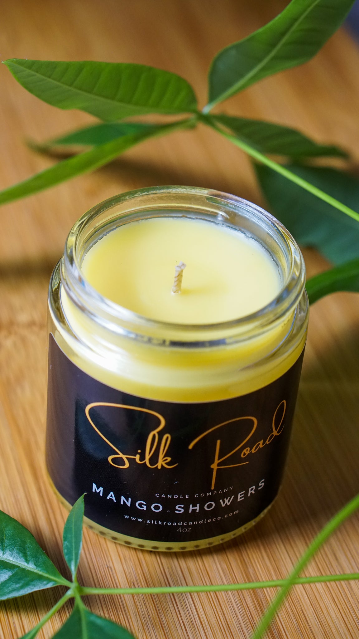 MANGO SHOWERS Scented Candle