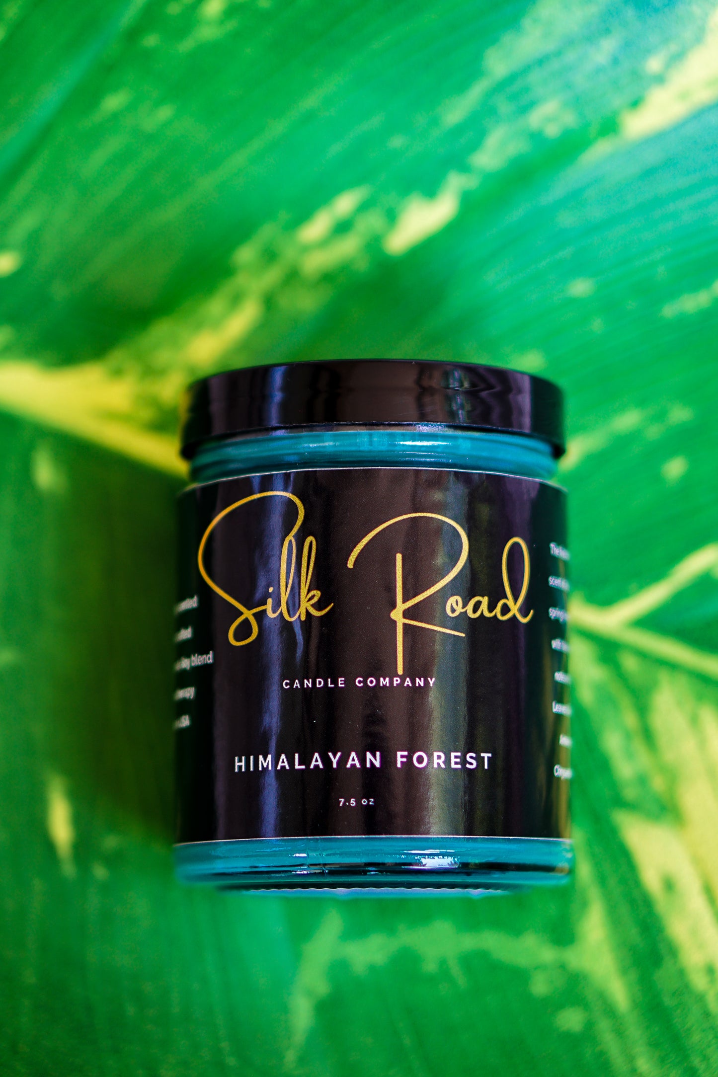 HIMALAYAN FOREST Scented Candle